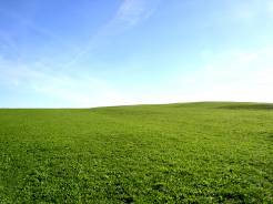 Auf die Hügelkuppe zu