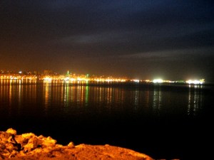 In der Nacht tanzen die grauen Katzen unter farbigen Lichtern