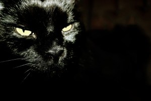 Müsste man den Montag in einem Bild ausdrücken...